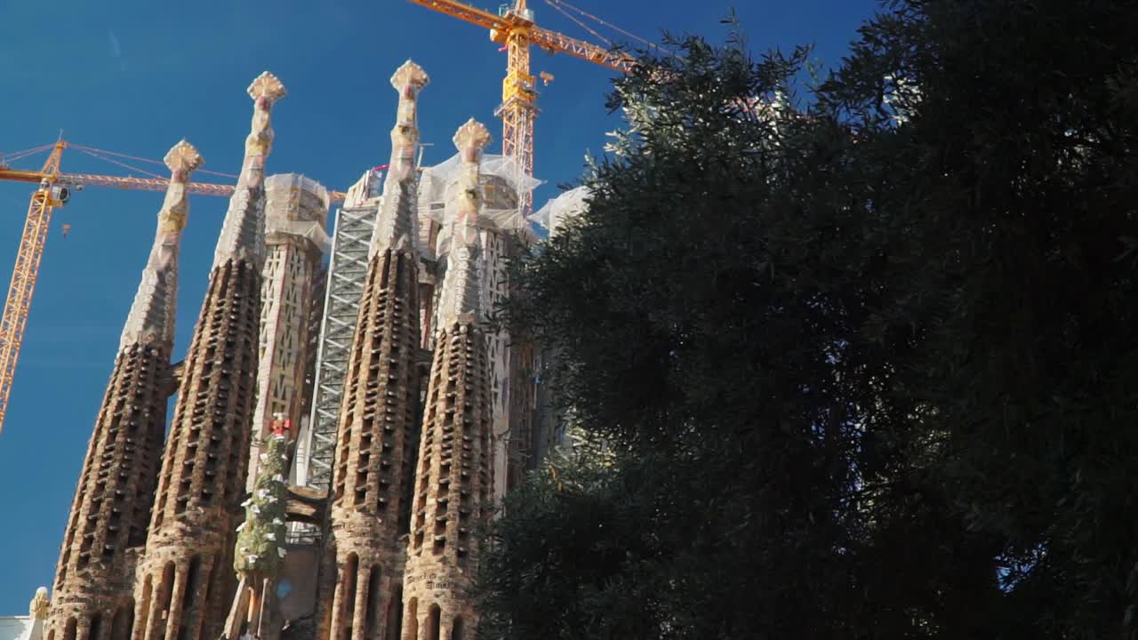 Tilting up shot, Trees revealing Scenic view of the towers of the Sagrada Familia Church in Barcelona, Spain, Blue Sky in the background