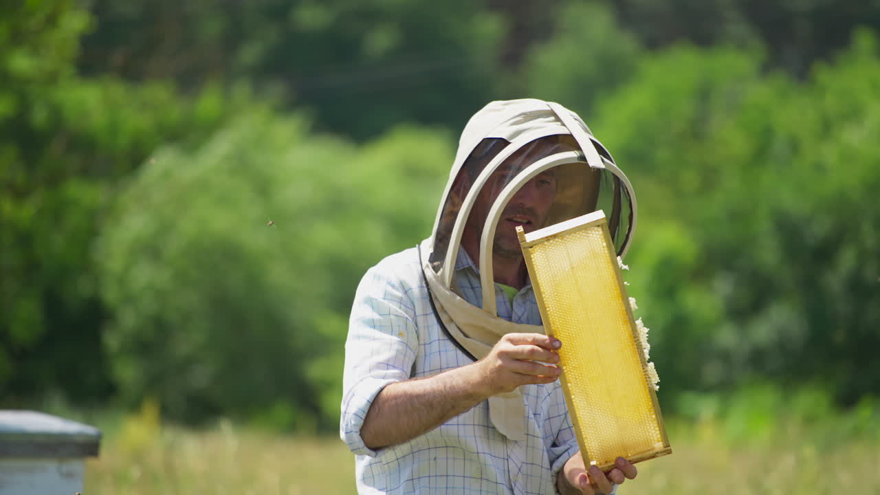 Male apiarist taking the frame with honeycomb from the bee hive. Beekeeper wearing protective clothes and mask looks at the frame with enjoyment.