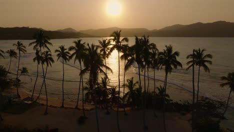 silueta de palmeras a lo largo de la playa la playita al atardecer con el mar de fondo