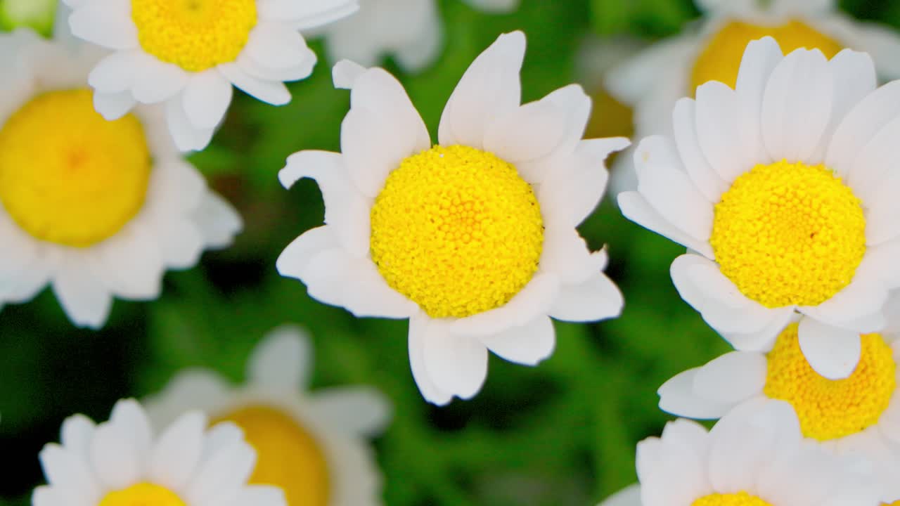 лучший вид в иокогаме