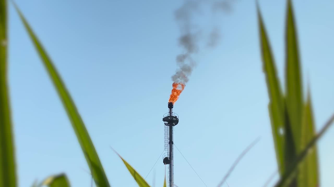 대조적인 잔디와 굴뚝