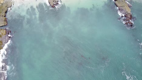 Panorámica-Aérea-Hacia-Abajo,-Olas-De-Agua-Clara-De-La-Playa-Costera-Que-Se-Lavan-En-La-Orilla