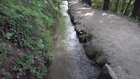 un canal de riego artificial al lado de un sendero de senderismo en un bosque. los canales de riego se utilizan para transportar agua de una fuente a varios usuarios.