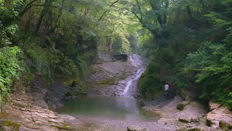 una pintoresca cascada en un bosque exuberante