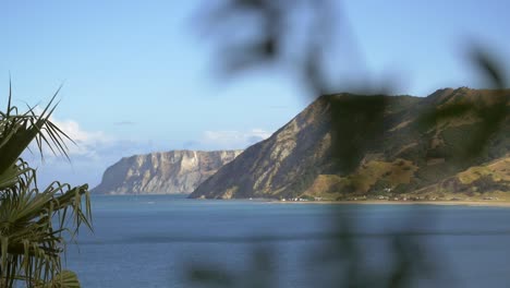 costa de nueva zelanda