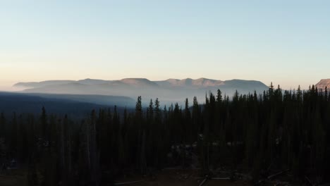 Hermosa-Foto-De-Un-Dron-Aéreo-De-Camiones-Del-Impresionante-Bosque-Nacional-Salvaje-Uinta-Wasatch-Cache-En-Utah-Con-Grandes-Pinos-Debajo-E-Impresionantes-Montañas-Cubiertas-De-Niebla-En-Una-Mañana-De-Verano