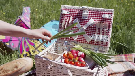 a classic wicker picnic basket filled with fresh bread, tomatoes, and vegetables sits on a blanket in a sunny meadow. a person's hand reaches in to take some food