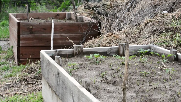 Tristi cassette da giardino senza vita che faticano a far crescere le piante.