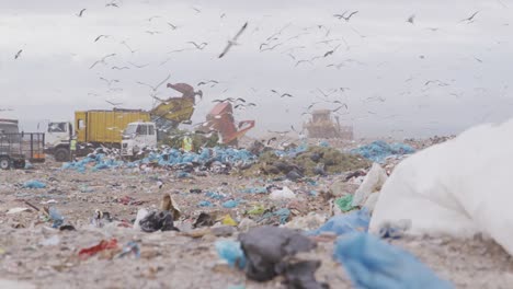 birds flying over rubbish piled on a landfill full of trash