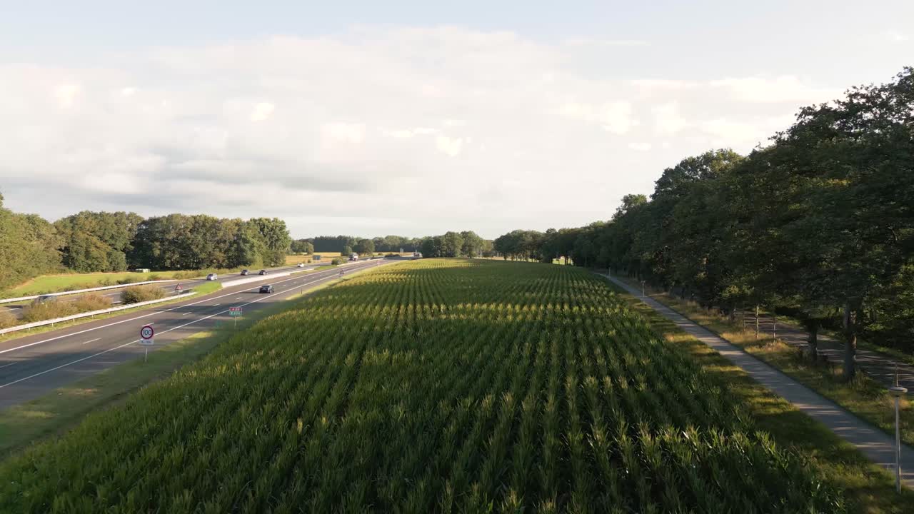 고속도로  에 있는 옥수수