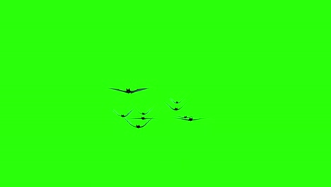 halloween holiday. flock of bats flies on a green screen background. сhroma key