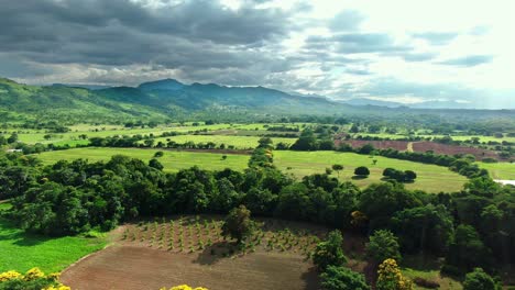 BEAUTIFUL-AERIAL-LANDSCAPE-ON-THE-SIERRA-CHIAPANECA