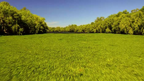 Volando-Sobre-El-Río-Ross,-Townsville