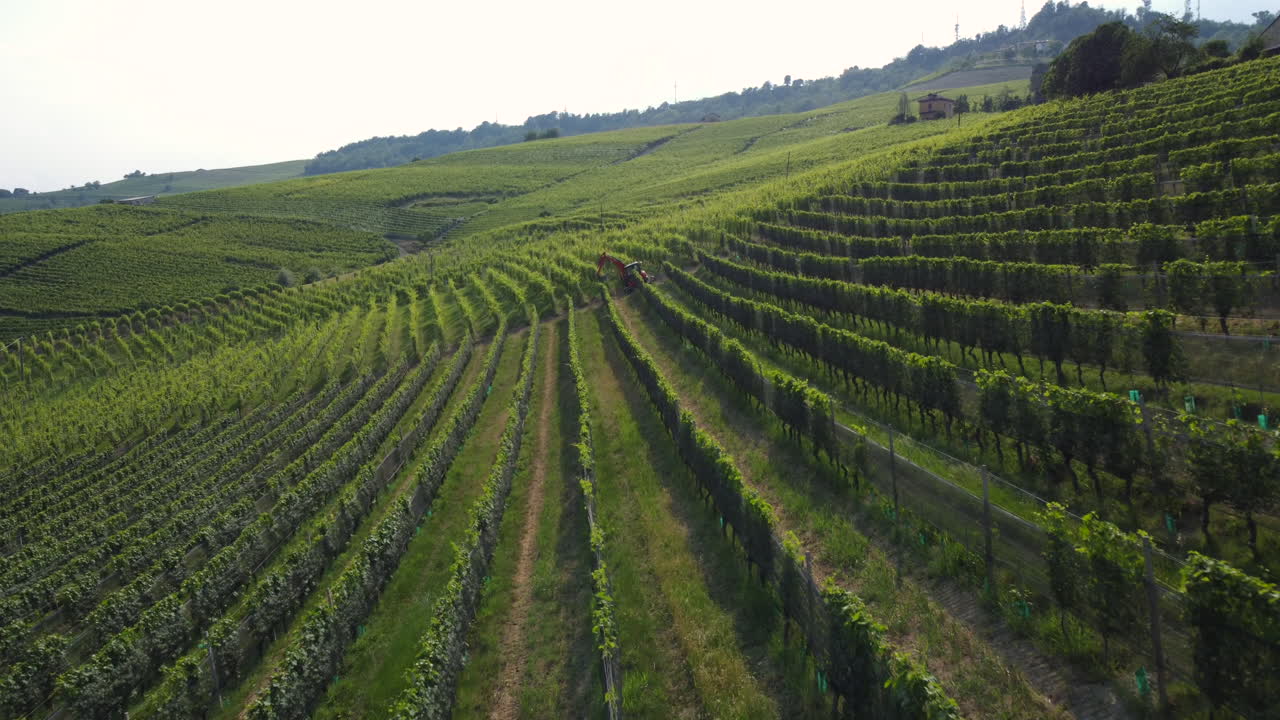Trattore e macchinari agricoli in un campo di vigneti