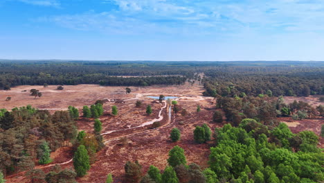 forest landscape with a clearing. an expansive view of lush forests and a clearing under a bright blue sky with scattered clouds. nature thrives here