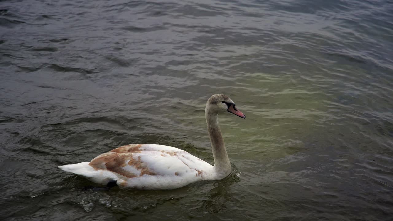 clip filmado en europa en austria desde un pueblo llamado hallstatt que está junto a un lago