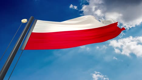 waving flag of poland