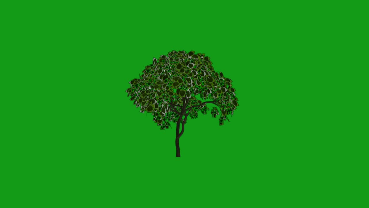 gráficos de movimiento de árbol en movimiento con fondo de pantalla verde