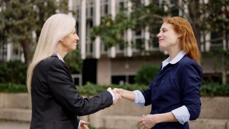 businesswomen meeting and shaking hands