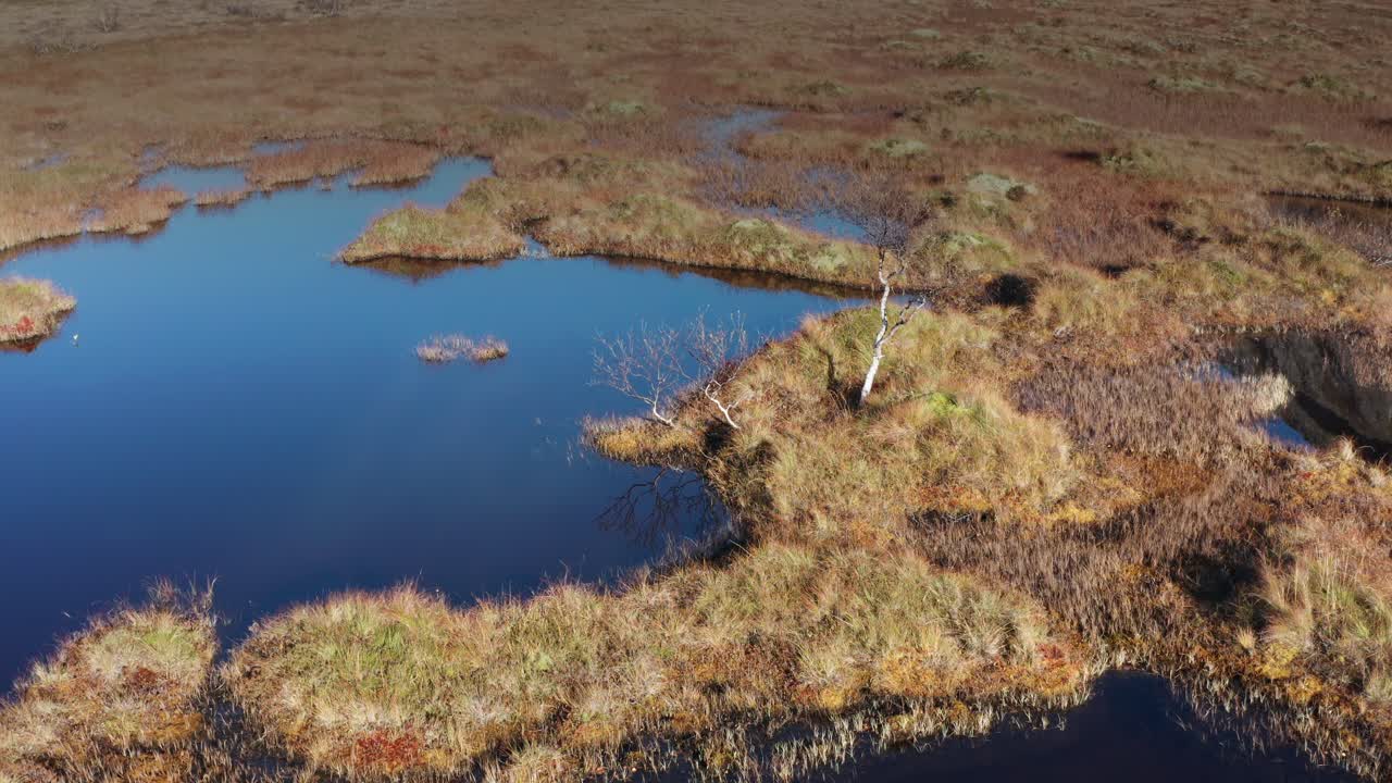 vista aérea de los humedales pantanosos en el norte de noruega