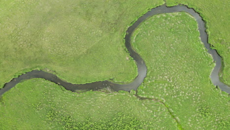 vista aérea de un arroyo ventoso que fluye a través de los humedales de minnesota