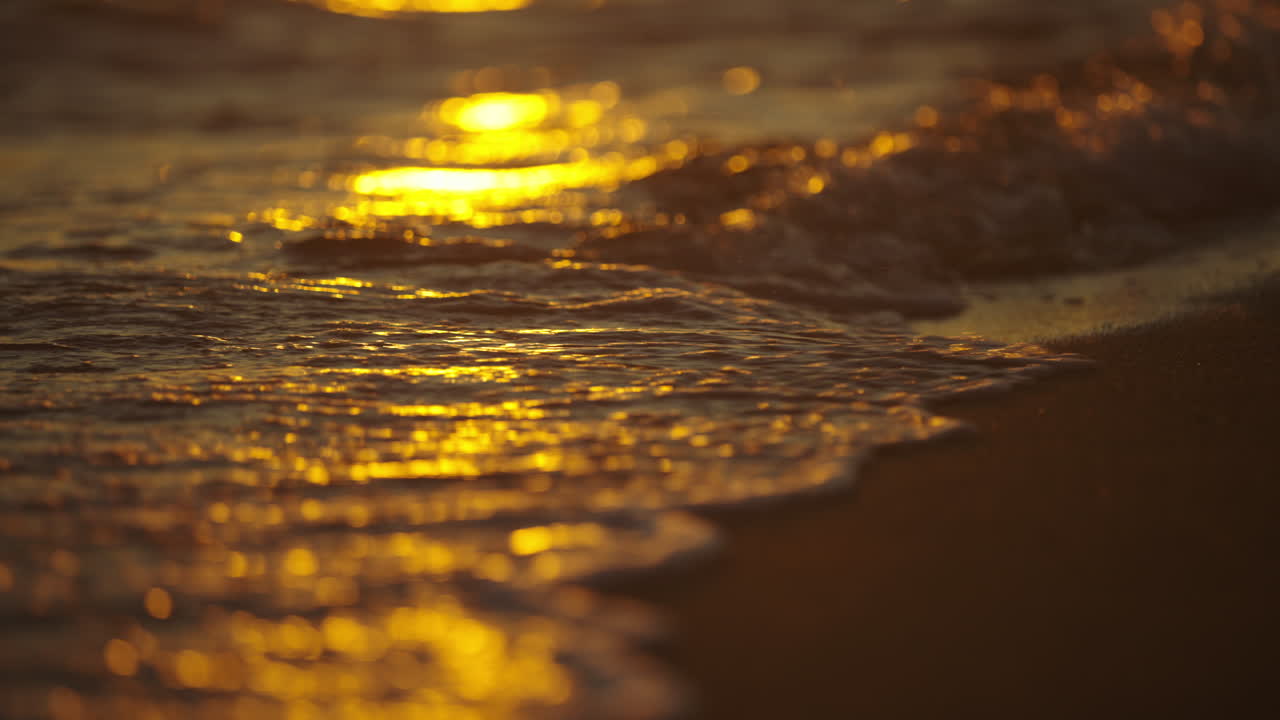 Golden Sunset on the Beach | Premium Stock Video Footage