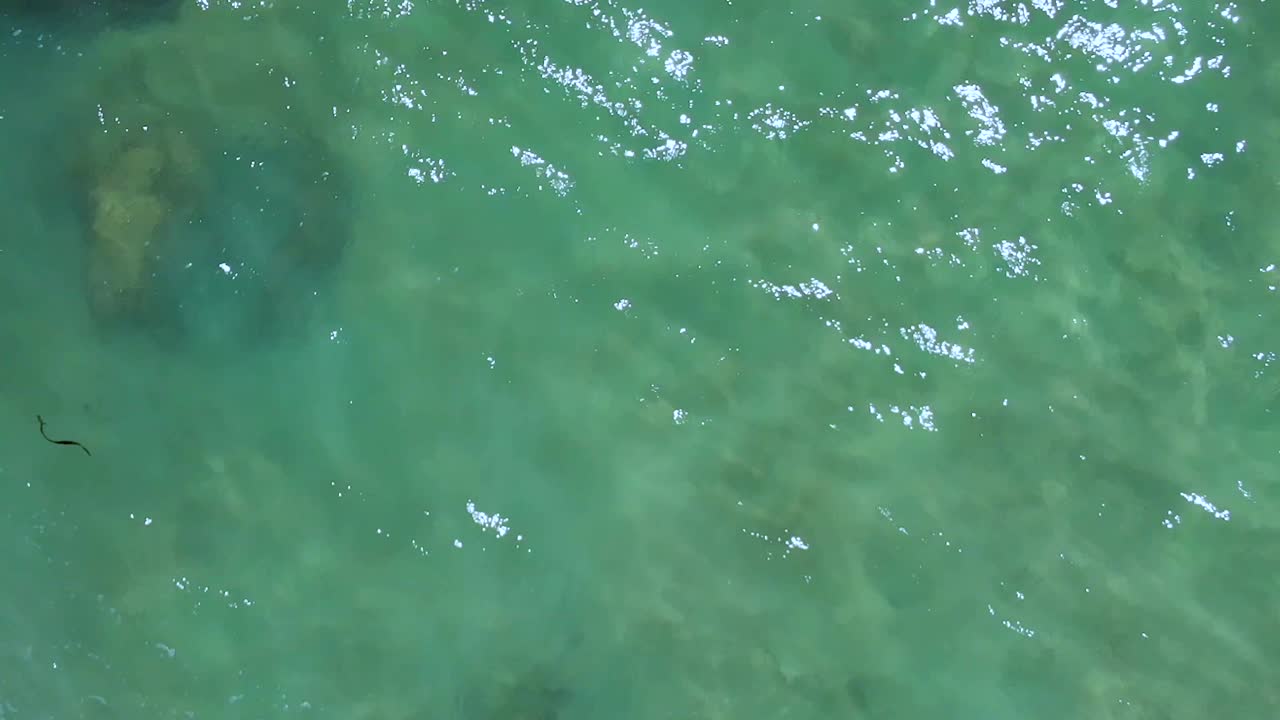 mirando hacia abajo en el océano, australia