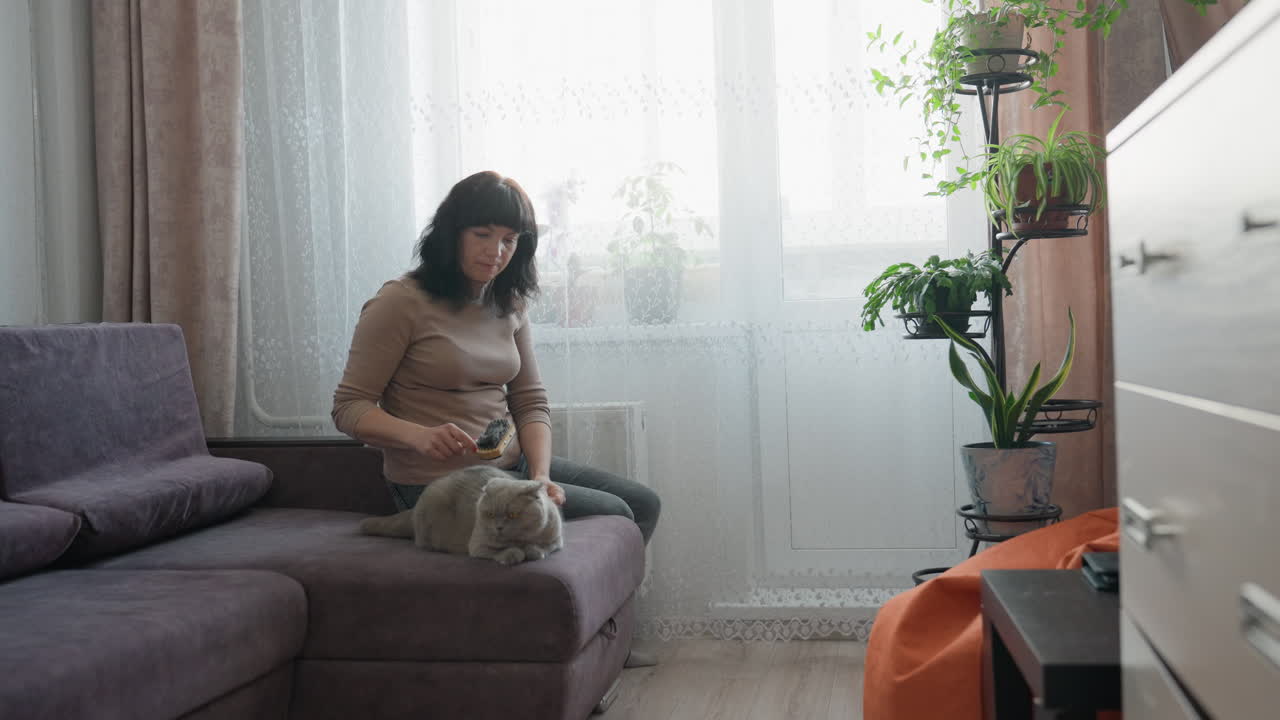 Pregnant Woman Resting, Pregnant Lady Sitting Peacefully Indoors, Expectant Mother Seated Comfortably By Window In Cozy Room, Pregnant Woman In Tranquil Setting With Soft Lighting And Houseplants