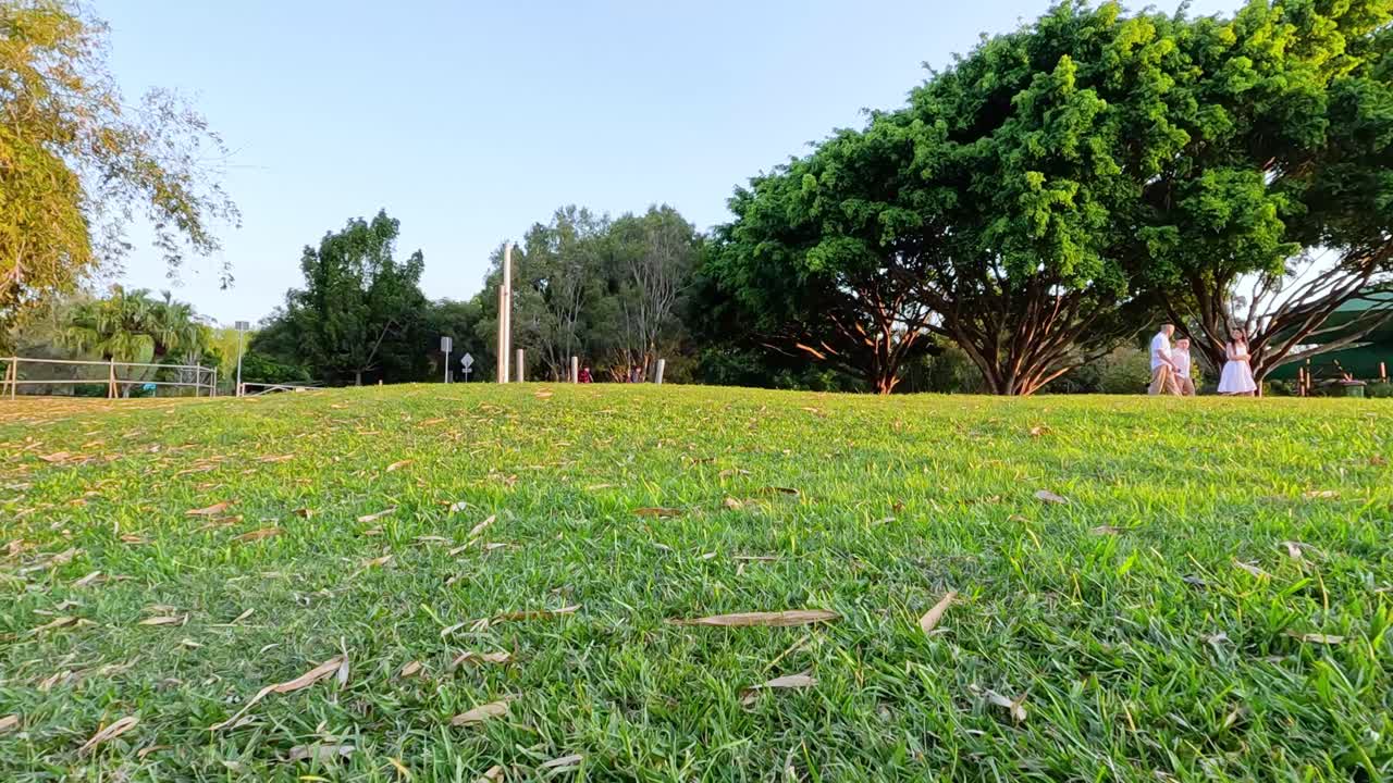 울창 한 초록색 을 가진 조용 한 공원 장면