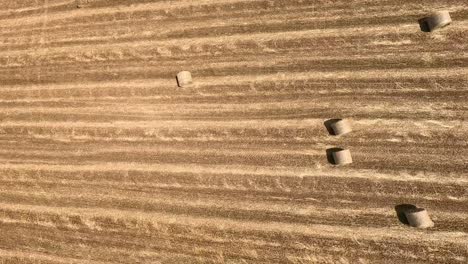 a seamless fpv drone flight glides over a harvested field with neatly arranged hay bales. the landscape features golden stubble rows under a bright blue sky, showcasing a picturesque rural scene.