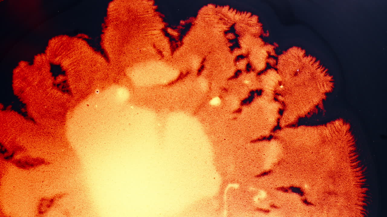 Vibrant color ink spreads in liquid, creating a mesmerizing abstract view