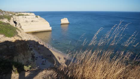 Establishing-shot,-Dry-grass-waving-on-the-rocky-cliff-in-Algarve,-Portugal,-Scenic-view-of-people-sand-bathing-on-a-sunny-day-in-the-background