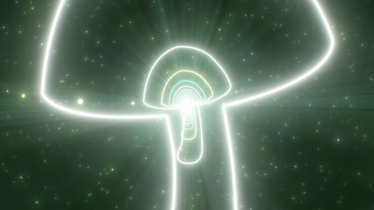Mushroom Fungus Plant Shape Outline Glowing Neon Lights Tunnel Portal - 4K Seamless VJ Loop Motion Background Animation