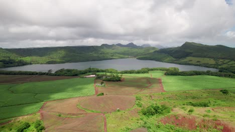 Lush-sugarcane-fields-near-a-serene-lake-with-mountains-in-the-background,-cloudy-sky