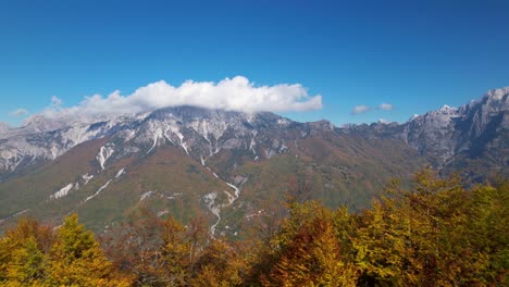 revelando los colores otoñales de los árboles dorados del bosque salvaje con el fondo de las montañas de los alpes