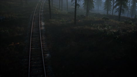 national forest recreation area and the fog with railway