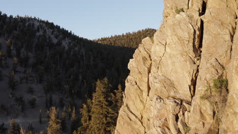 drone view captures rock mountain and ancient bristlecone pine forest view in sunset