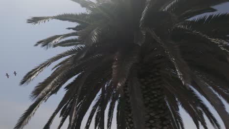 hermosa playa de la costa de california - 4k registro no clasificado