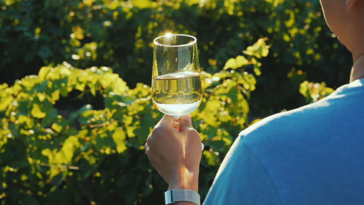 한 남자가 어깨 너머로 보이는 포도원 뒷모습 근처에서 백포도주 한 잔을 들고 있다