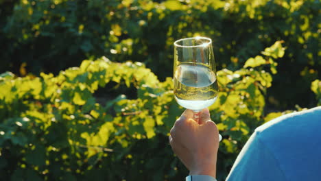 un hombre sostiene una copa de vino blanco cerca de la vista trasera del viñedo sobre el hombro