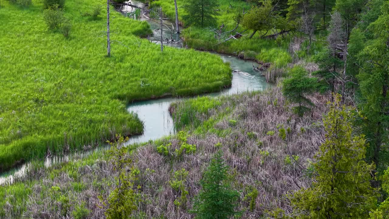 Aerial drone view of a winding river flowing through dense forest and lush green wetland landscape