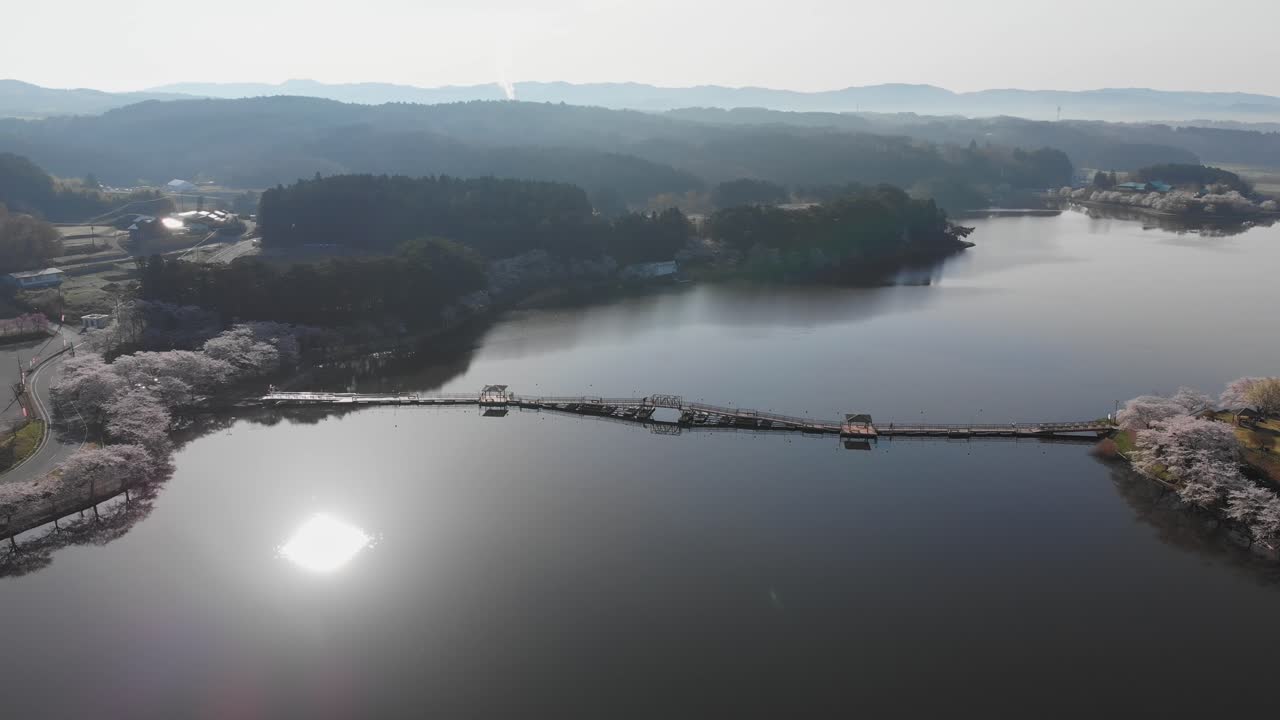 Aerial fly bridge across lake in Japan with cherry Sakura trees blossomed, at Hiratsunuma fureai park Kanawaga