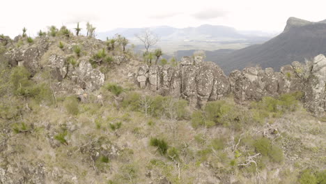 toma amplia de 4k drones de excursionistas caminando al lado de un acantilado de montaña en el parque nacional border ranges, nueva gales del sur, australia