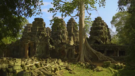 overgrown tree in the ruins of the banteay kdei temple, siem reap, cambodia angkor archeological park