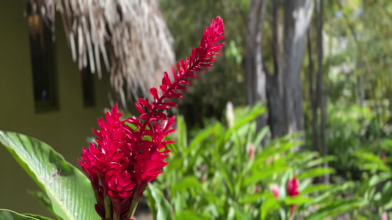 푸른 하늘 아래의 건드리지 않은 해안의 평온함