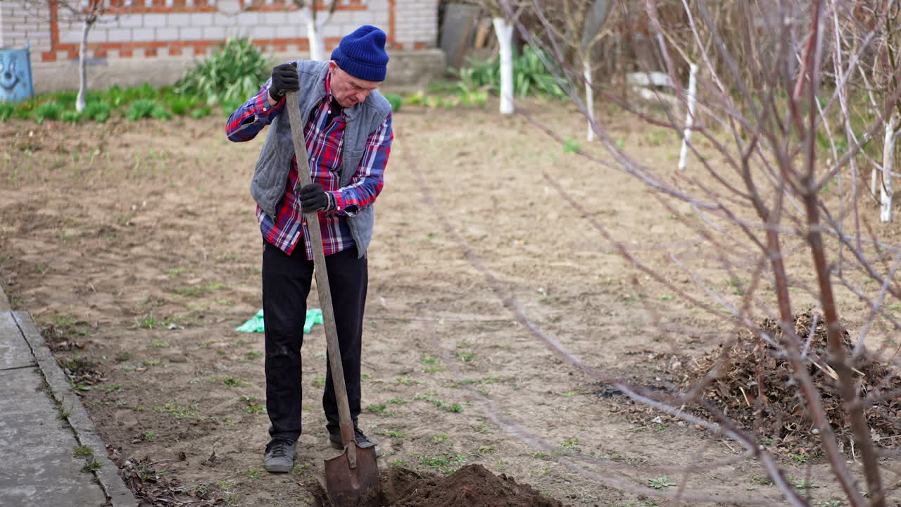Senior farmer in checkered shirt digging a pit. Man is preparing soil for the tree planting.