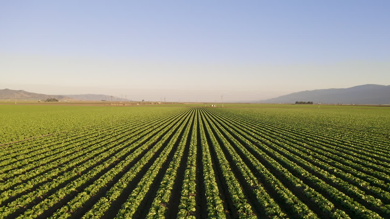 alejándonos y levantando el dron mientras retrocedemos sobre cultivos en el valle de salinas, california.