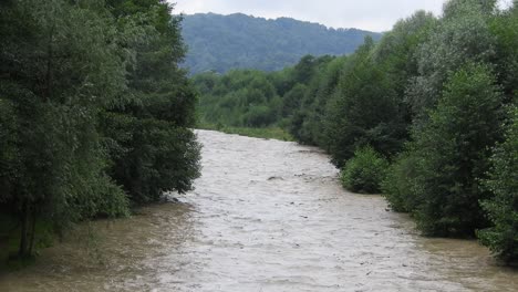 stirred river taking its way through the trees, after a powerful storm