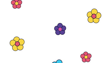 garden flowers of colors pattern animation