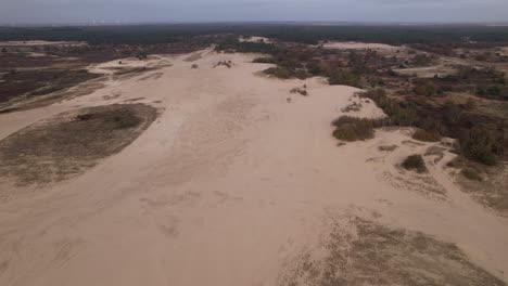 Autumn-aerial-forward-movement-showing-Loonse-en-Drunense-Duinen-sand-dunes-in-The-Netherlands